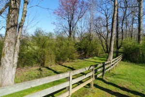 3.56 acre horse farm